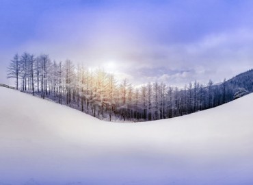 laukas1