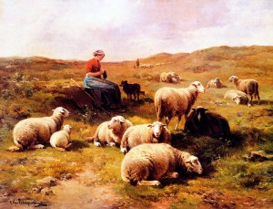 20
